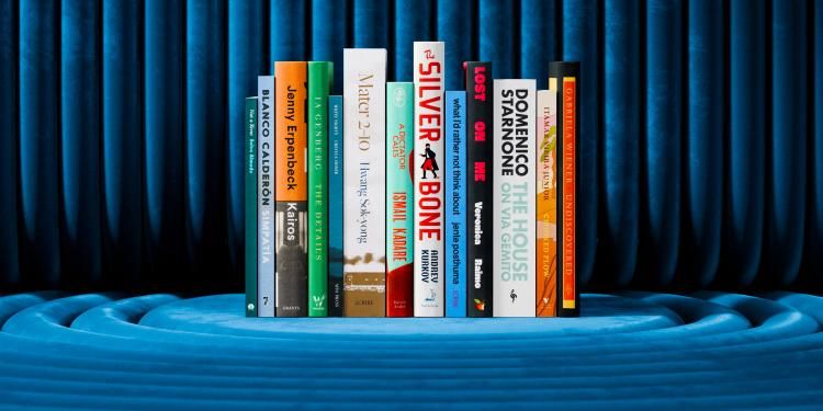 The International Booker Prize longlist books photographed in a row.